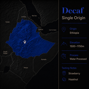 Water Processed Decaf (Single Origin)